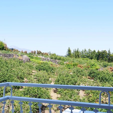 Hera Castle Pension Seogwipo Dış mekan fotoğraf