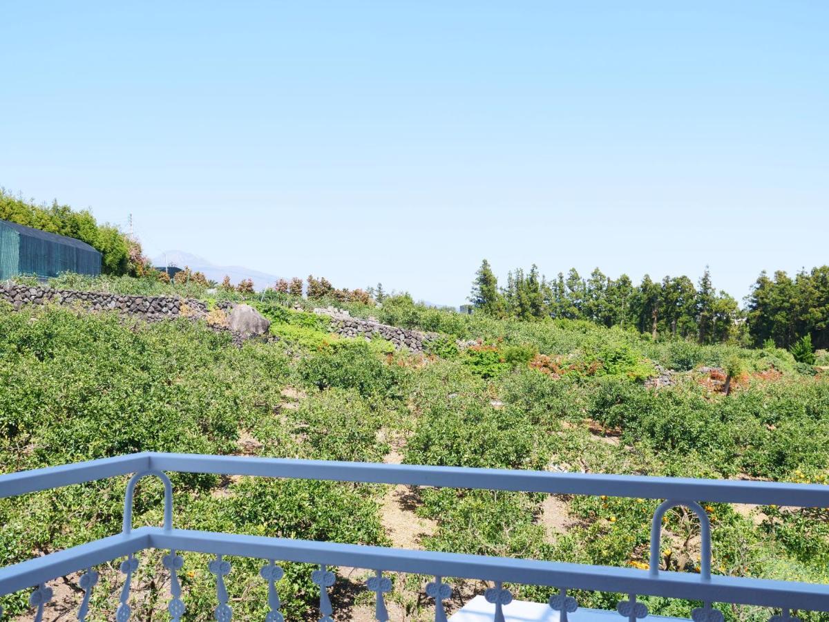 Hera Castle Pension Seogwipo Dış mekan fotoğraf