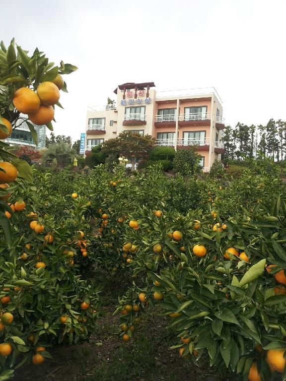 Hera Castle Pension Seogwipo Dış mekan fotoğraf