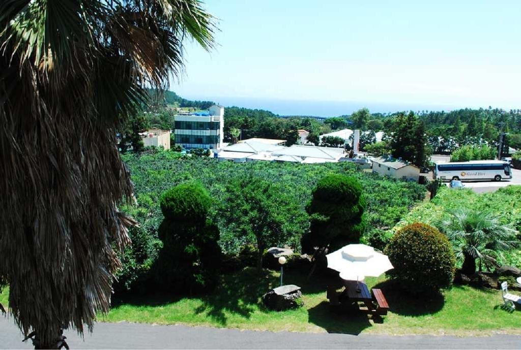 Hera Castle Pension Seogwipo Dış mekan fotoğraf