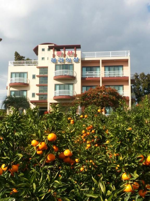 Hera Castle Pension Seogwipo Dış mekan fotoğraf
